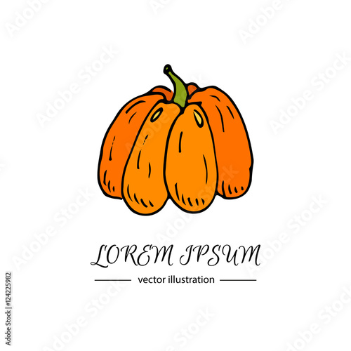 Hand drawn doodle Autumn pumpkin icon. Vector illustration Thanksgiving collection. Cartoon celebration element: colorful orange bittersweet pumpkin, traditional harvest vegetable holiday symbol.