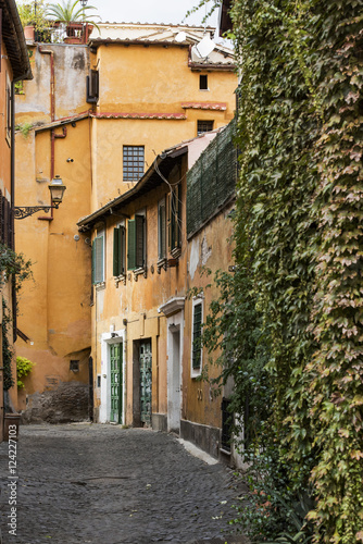 Vegetation and architecture in Trastevere  Rome.