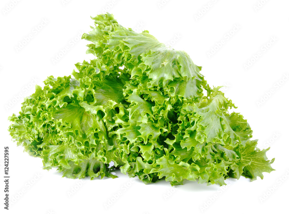 Fresh green lettuce isolated on a white Fresh green lettuce isolated on a white
