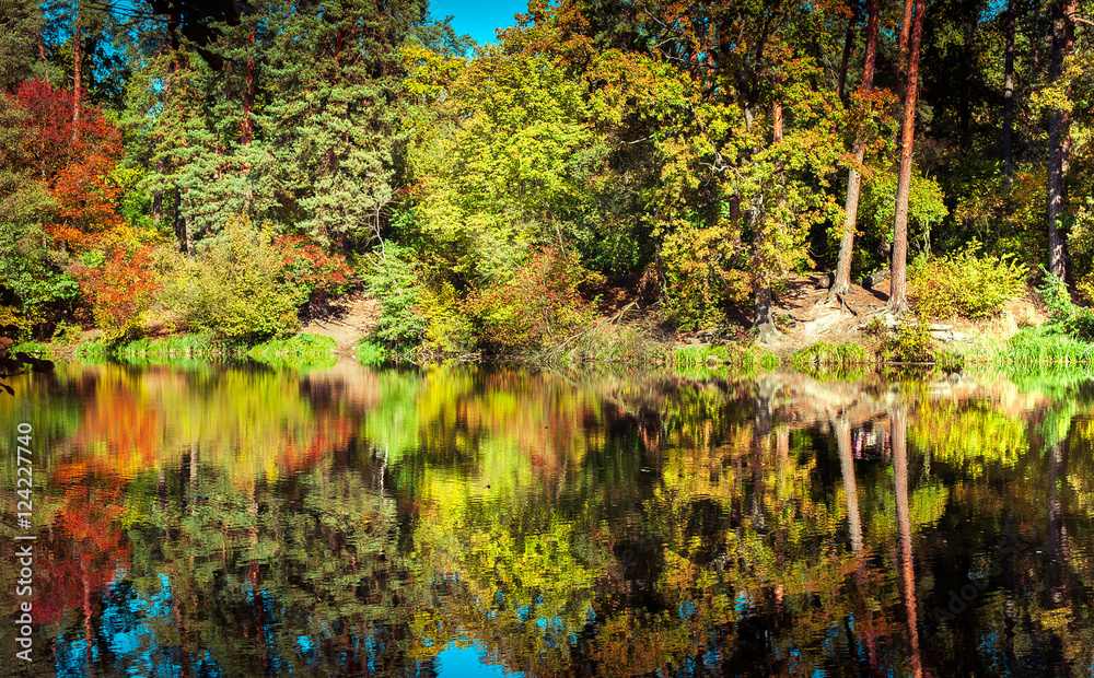 Sunny day in outdoor park with lake and colorful autumn trees reflection under blue sky. Amazing bright colors of autumn nature landscape Sunny day in outdoor park with lake and colorful autumn trees reflection under blue sky. Amazing bright colors of autumn nature landscape