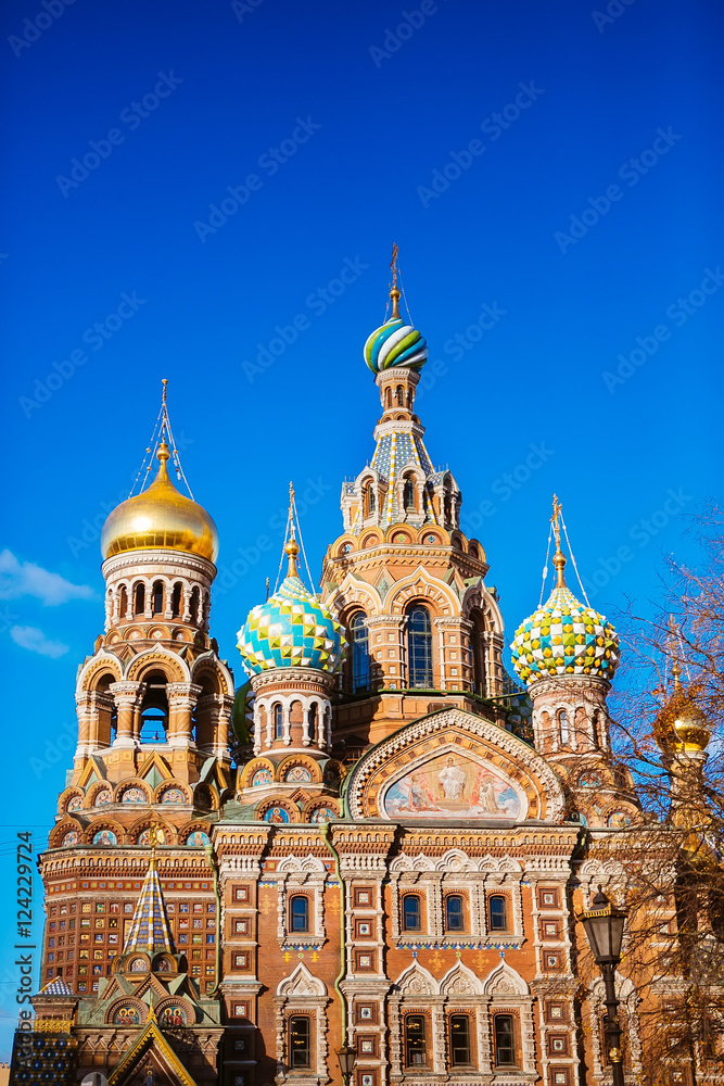 Cathedral of the Savior on Spilled Blood. Russia, Saint-Petersbu