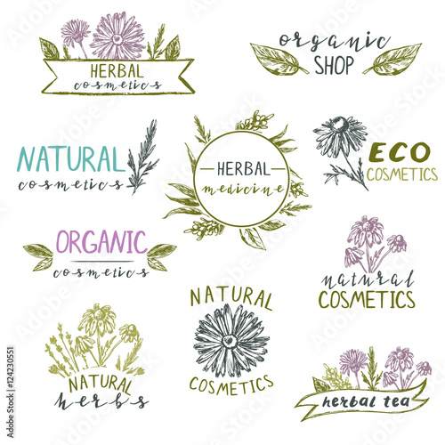 Set of logo templates with hand drawn plants and flowers