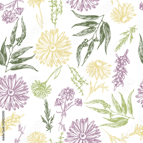 Seamless pattern with plants and flowers