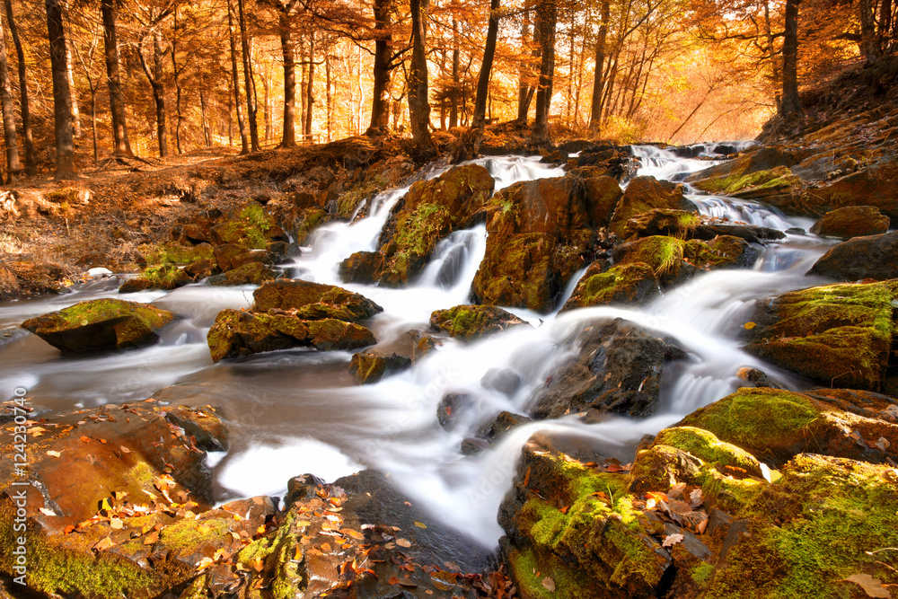 Herbst im Wald, Wasserfall