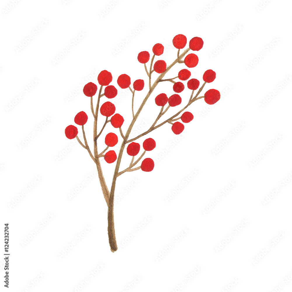 Watercolor branch of berries isolated on white background Watercolor branch of berries isolated on white background