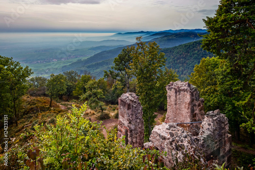 Majestic medieval castle Haut-Ribeaupierre on the top of the hil