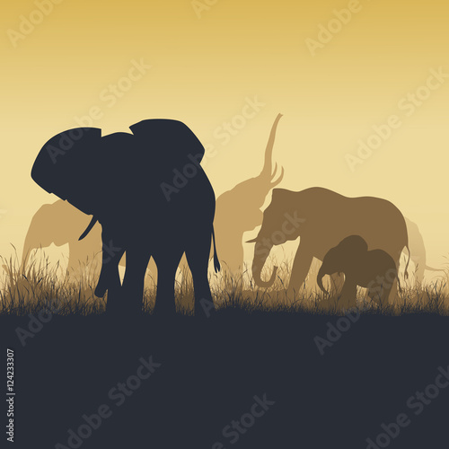 Square illustration of wild animals in sunset savanna.