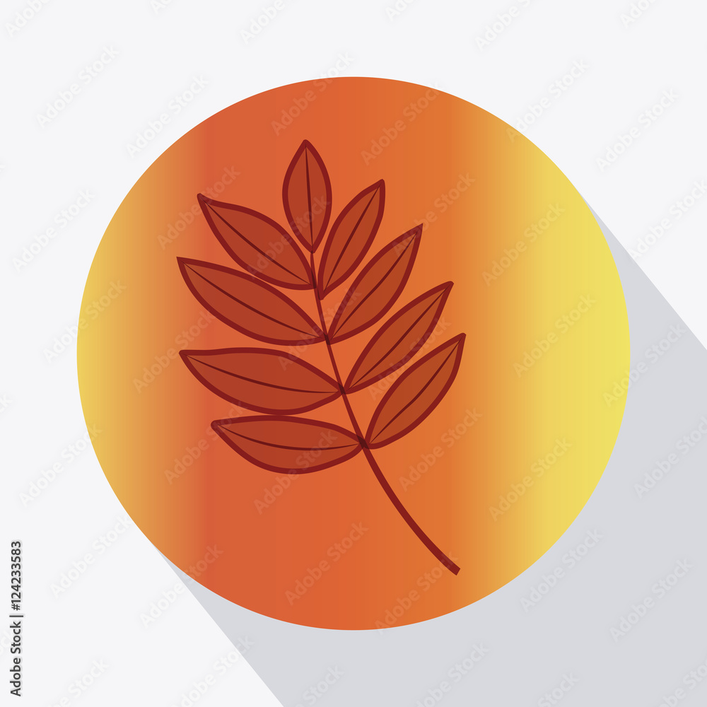 Leaf inside circle icon. Autumn season floral garden and nature theme. Colorful design. Vector illustration