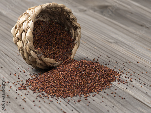 finger millet-kezhvaragu