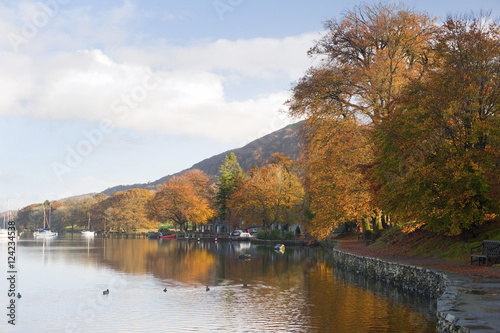 Autumn lakeside scene