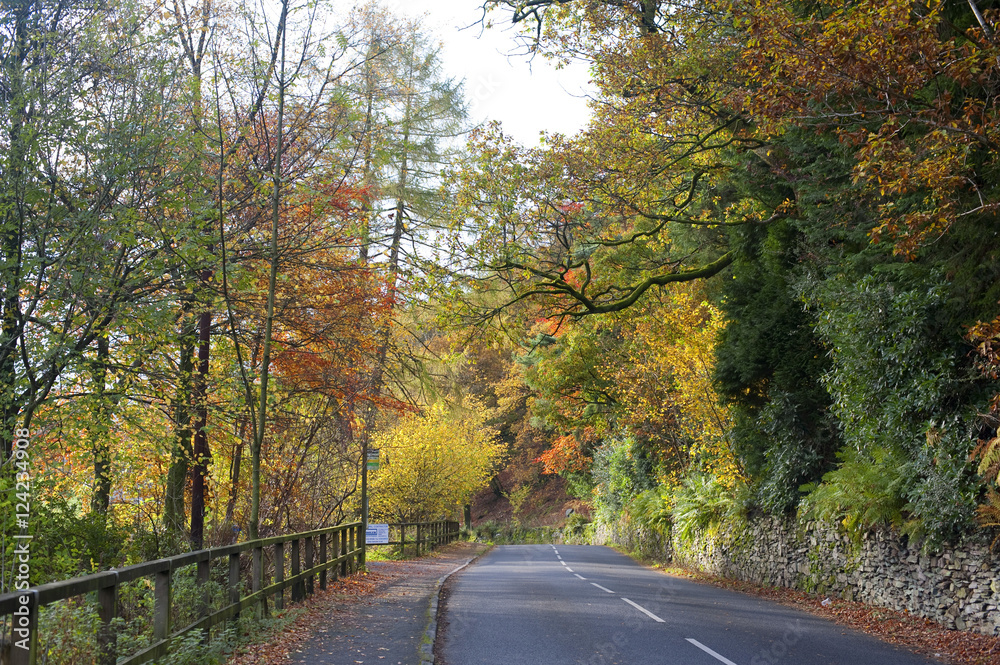 Autumnal country drive