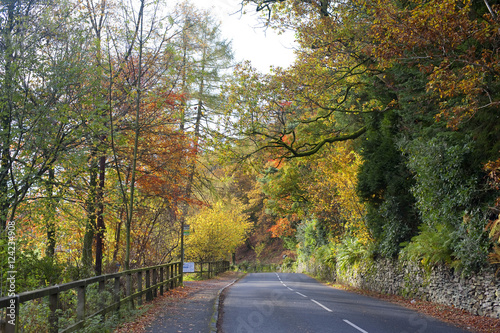 Autumnal country drive