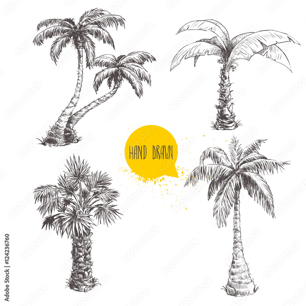 Obraz premium Hand drawn palm trees sketch set. Vector illustration on white background. Travel and vacation symbols.