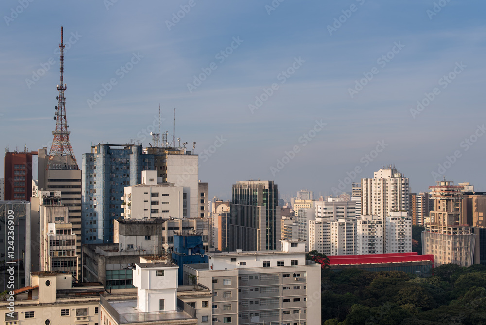 Fototapeta premium Skyline of Buildings Around Paulista Avenue in Sao Paulo City