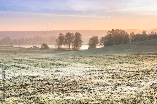 The first frost in the fields. Misty autumn morning.
