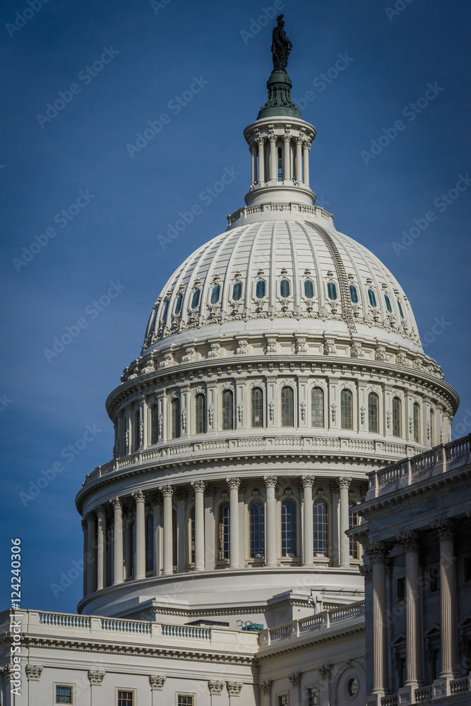 Fototapeta premium The dome of the United States Capitol Building, in Washington, D