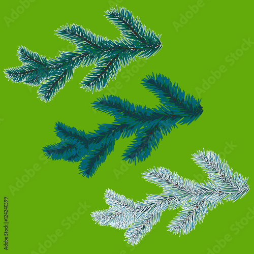 A set of blue spruce branches. Christmas tree - a symbol. The branches of spruce in frost.  illustration