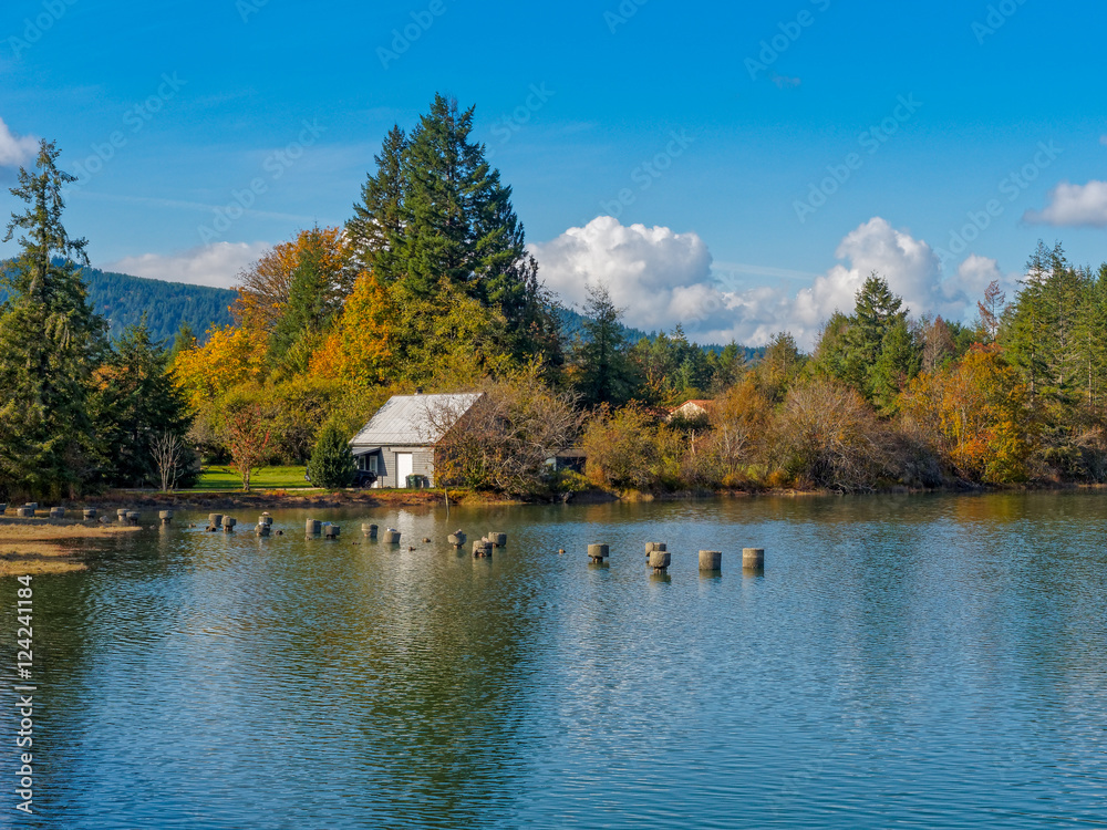 Obraz premium OLYMPUS DIGITAL CAMERA