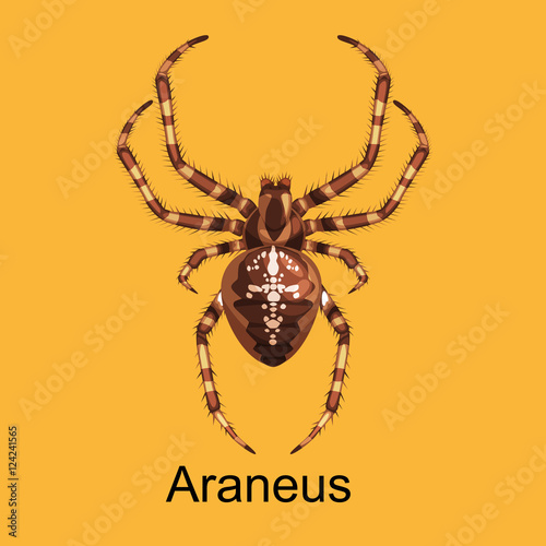 Spiders cartoon set, dangerous insects collection