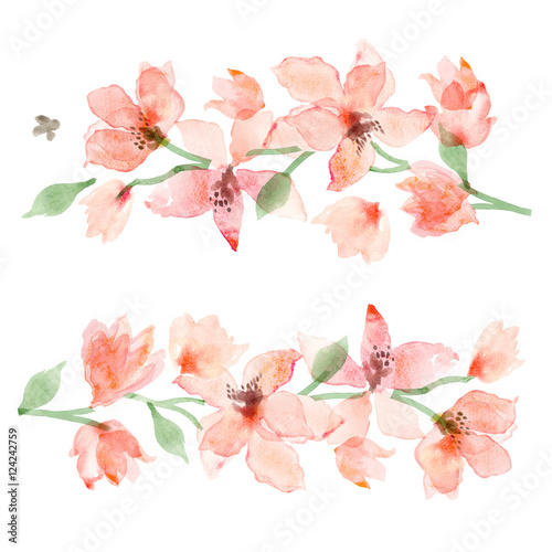 Watercolor Sakura. Floral background  flower painting
