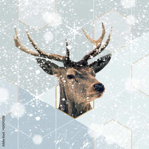 Weihnachten Hintergrund photo
