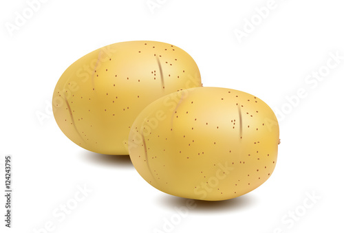 potatoes on white background
