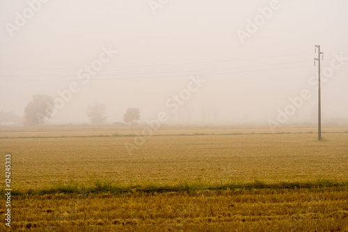 Countryside rice fields on a foggy day in autumn. Typical landscape of the Po Valley, Italy