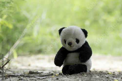 Panda Bear sitting on the ground.