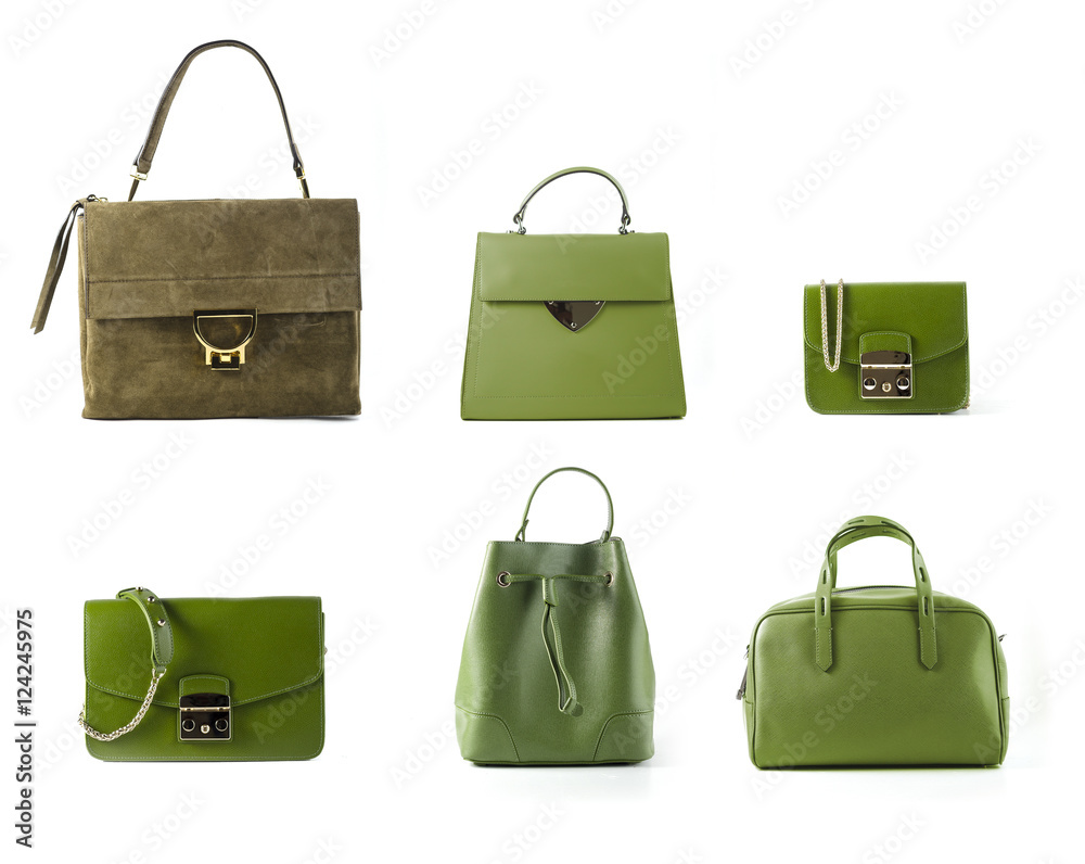 group of color women leather purses and handbags isolated on white background group of color women leather purses and handbags isolated on white background