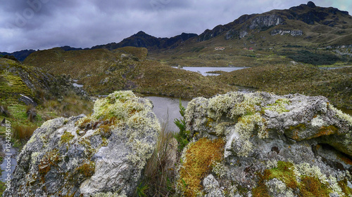 Ecuador, Nacional Park: Las Cajas 4000 masl