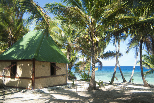 Fijian beachfront bure