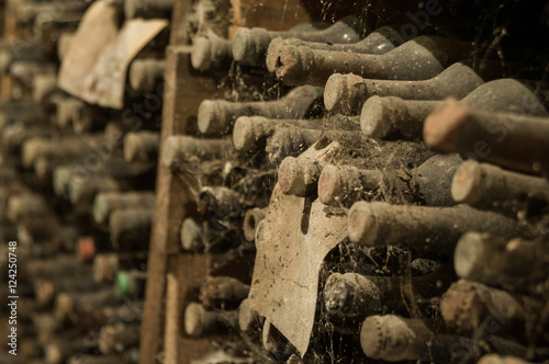 Fototapeta Naklejka Na Ścianę i Meble -  a lot of old wine bottles in the web in the wine cellar on the shelves