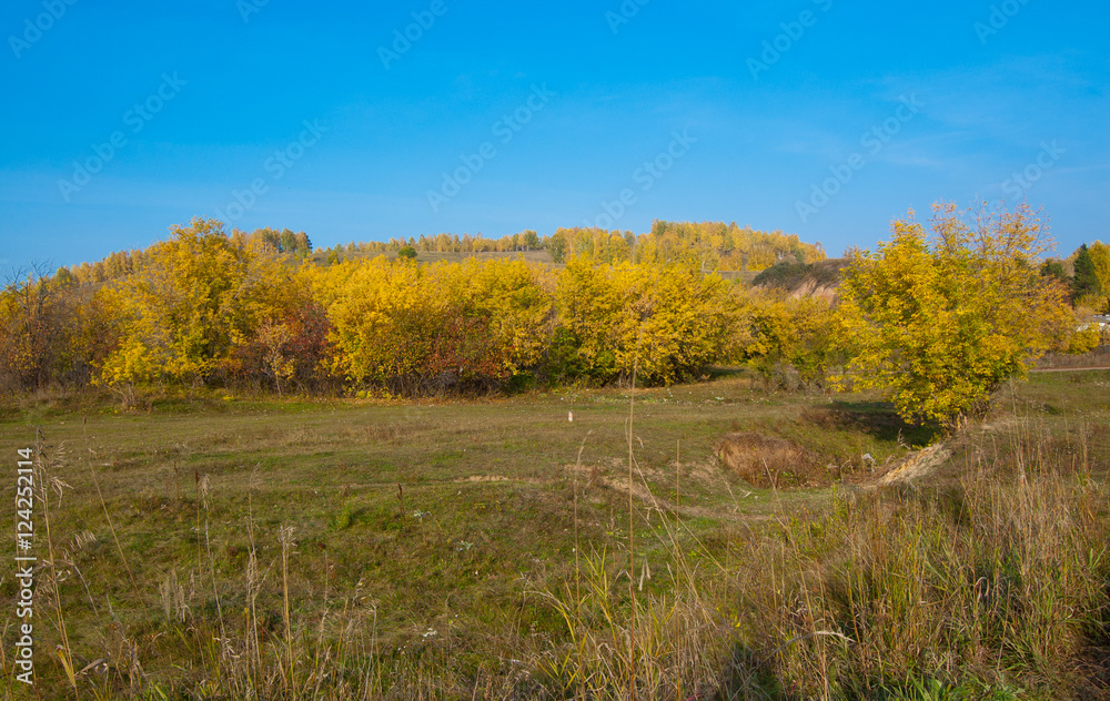 Siberian autumn