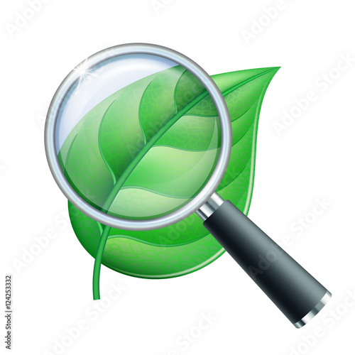 Magnifying glass and leaf