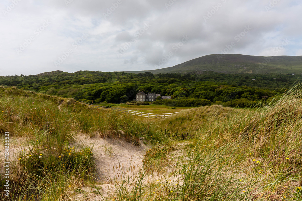 Obraz premium Derrynane National Park