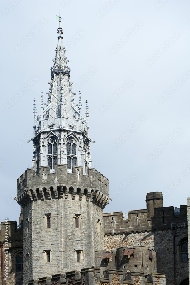 Obraz premium Octagonal Gothic tower