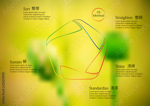 Illustration infographic template with motif of 5S method. Graphic contains photo of field with poppyheads as a background. Each element contains name of step and simple sign.