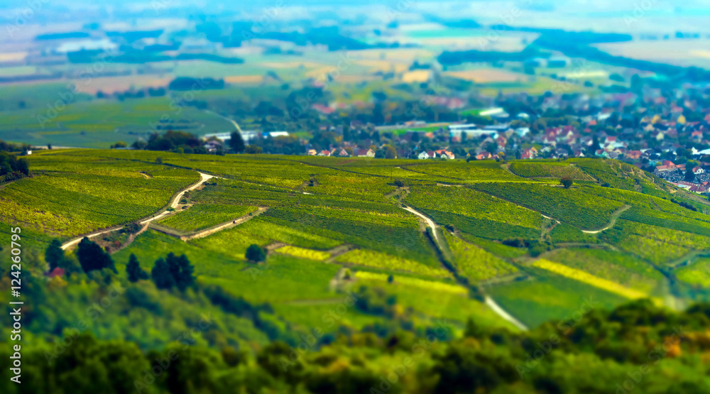Obraz premium Aerial panoramic tilt-shift view to village Ribeauville from dro