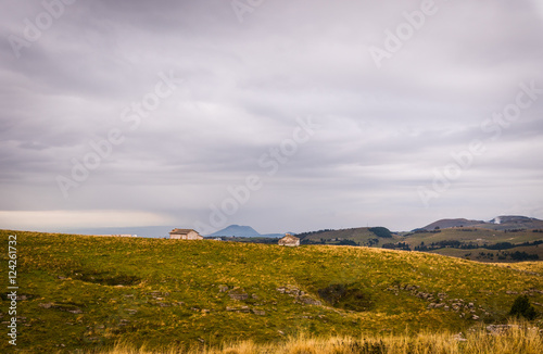 Wallpaper Mural Autumn in the forest in the mountains with orange leaves in Italy  Torontodigital.ca