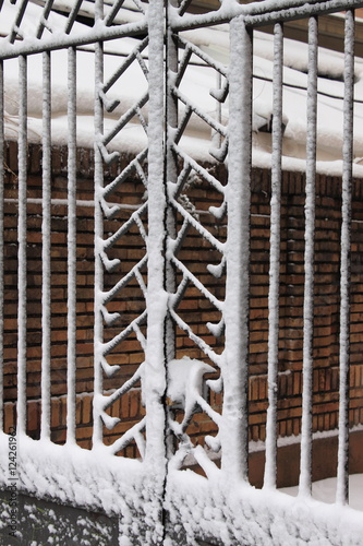 Iron gate covered by snow