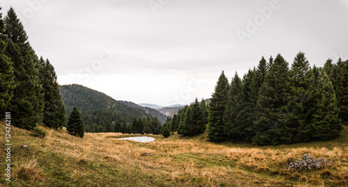 Autumn in the forest in the mountains with orange leaves in Italy