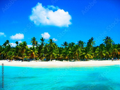 Fototapeta Naklejka Na Ścianę i Meble -  coconut palms on the coast of the tropical island Caribbean Dominican Republic