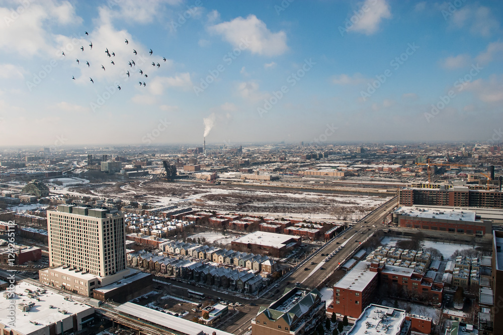 Aerial view of west loop downtown Chicago in Winter with birds