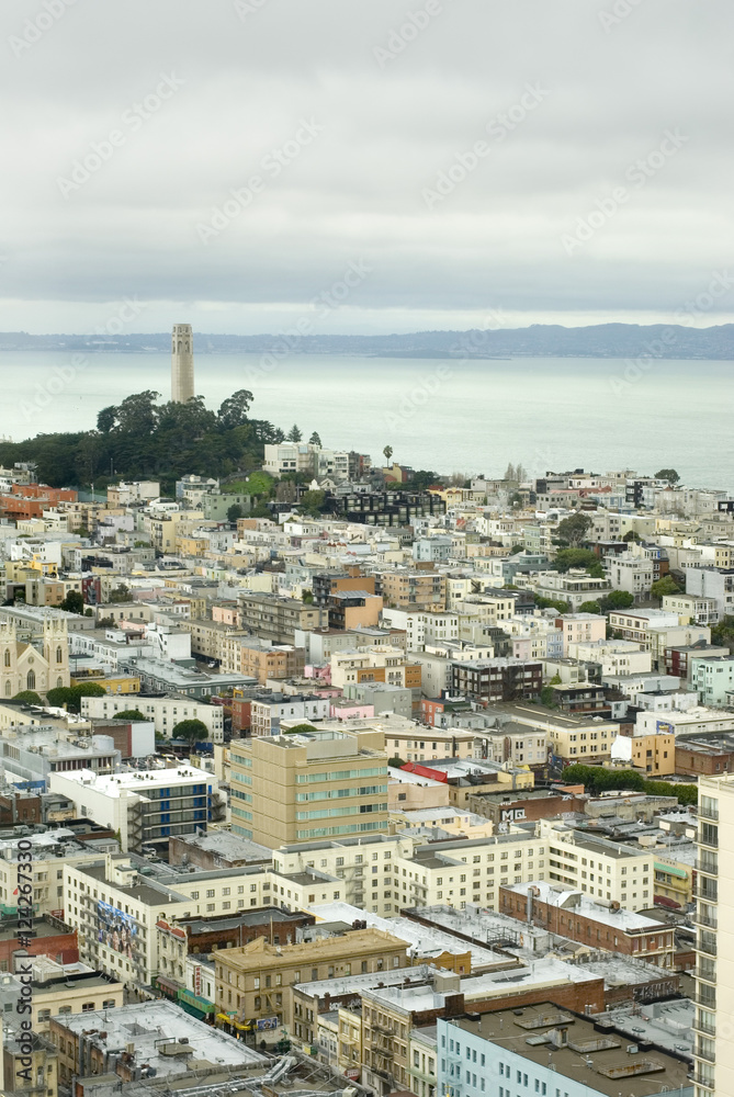 Coit Tower view