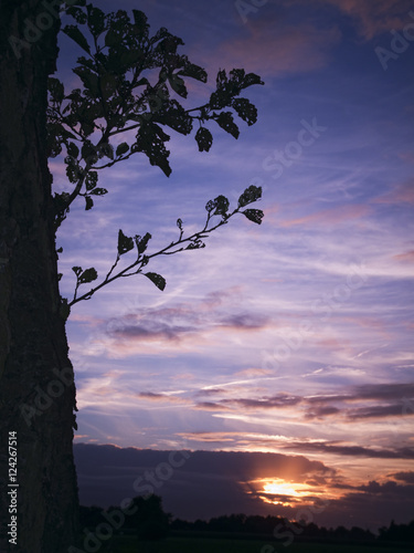 sundown in East Frisia_vertical photo