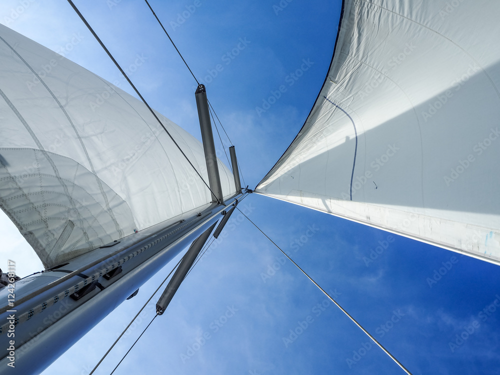 Fototapeta premium Yacht sails in the wind