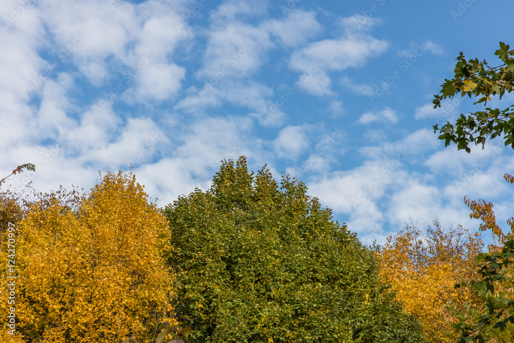 herbst herbst