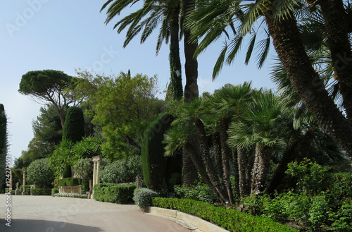 jardin exotique côté d'azur