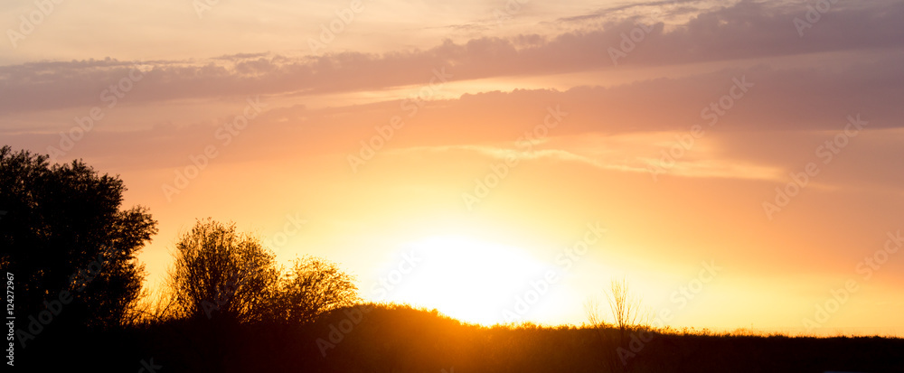 beautiful sunset in the field outdoors