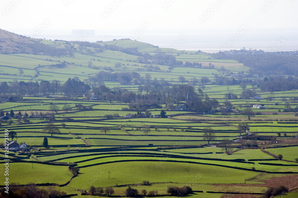 Rural landscape of rolling hills and pastures